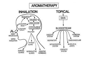 aroma-therapy-diagram